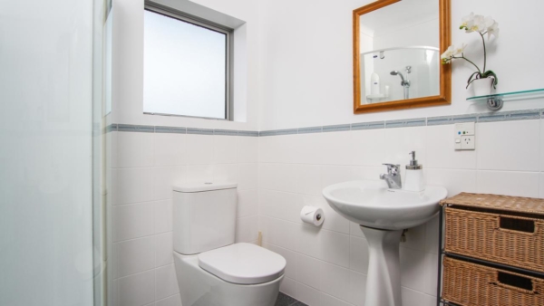 St Marys Bay, Auckland - Furnished Apartment bathroom