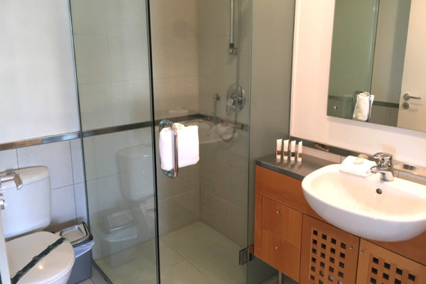 Auckland Viaduct Harbour 2 bedroom apartment - bathroom and shower